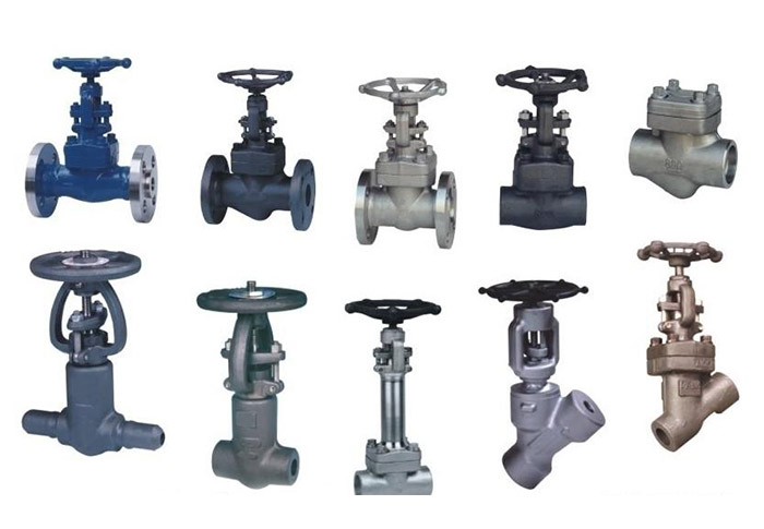 Forged Valves